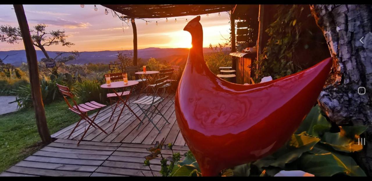 Casa Belavista Penela - Charming Guest House - Adults Only Dış mekan fotoğraf